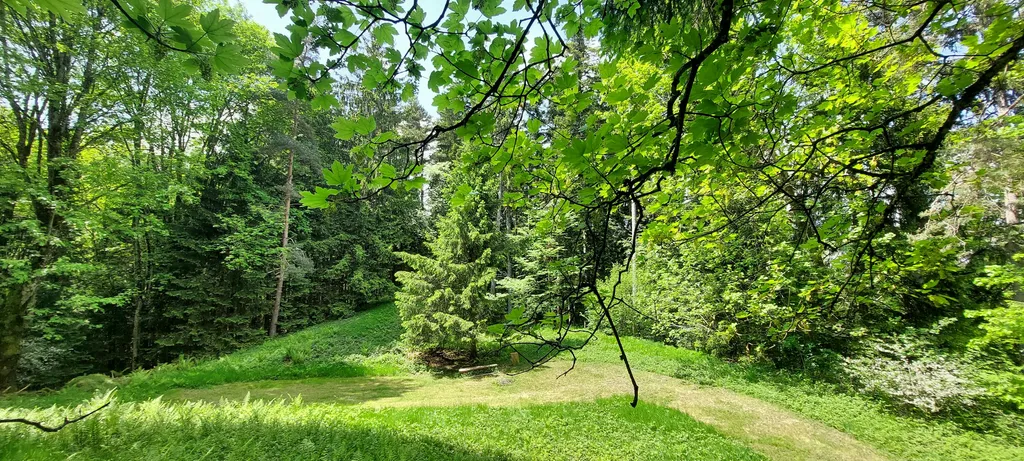 Waldlichtung Offroad-extrem Camping