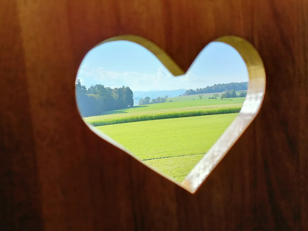 Zirkuswagen vom Sommerhof