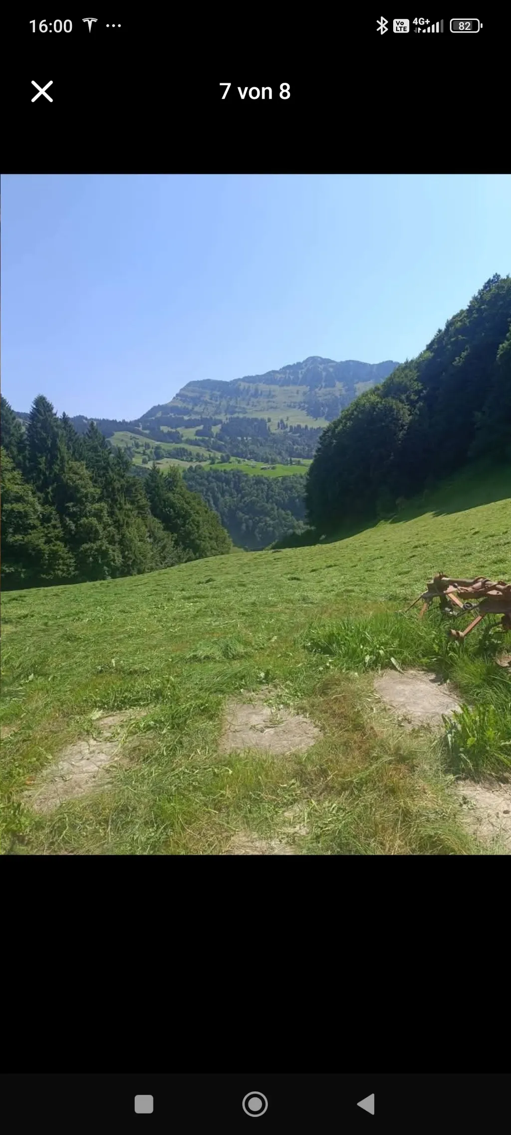 Schopf an ruhiger Lage