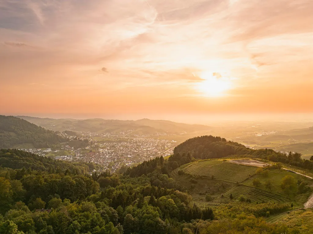Stellplatz mit Grillmöglichkeit am Waldrand