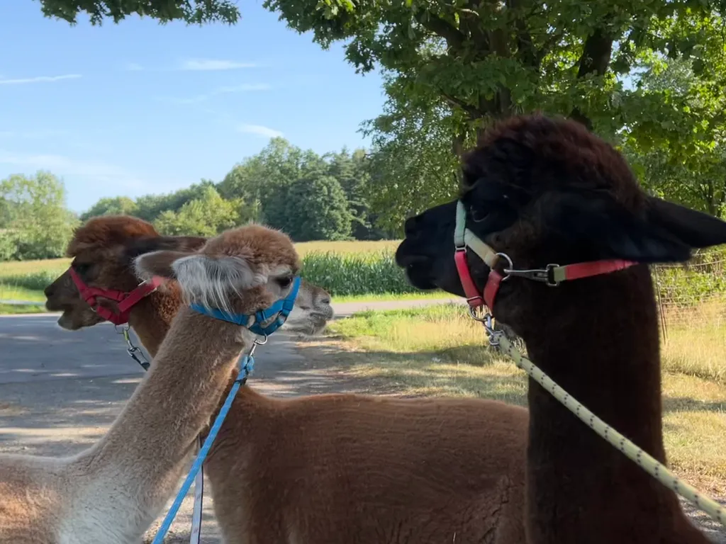 Bild von Maria für den Spot 3154