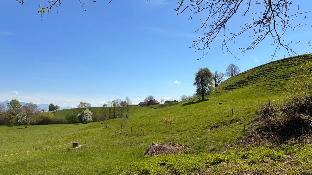 Bild von Natascha für den Spot 1186