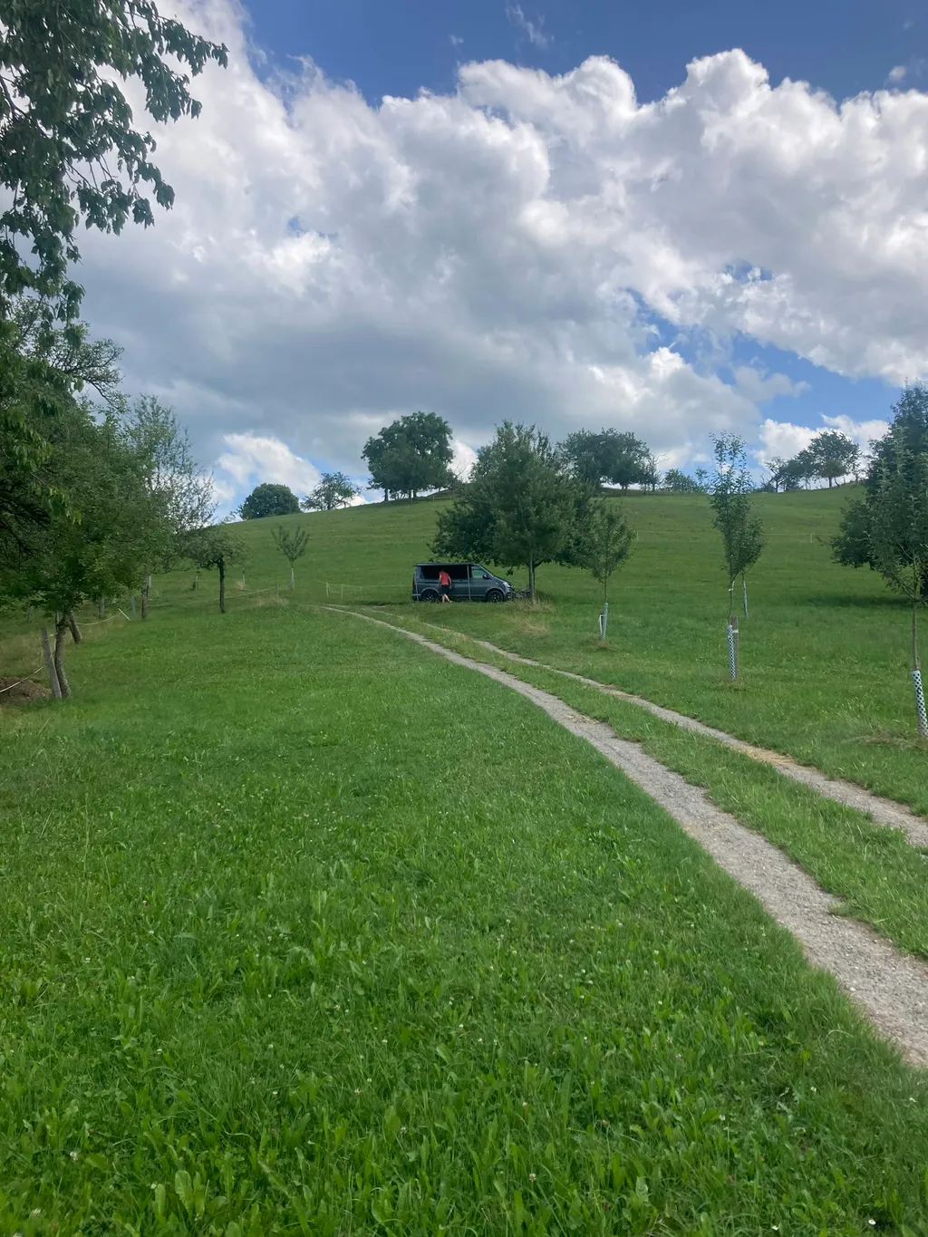 Naturplatz im Obstgarten