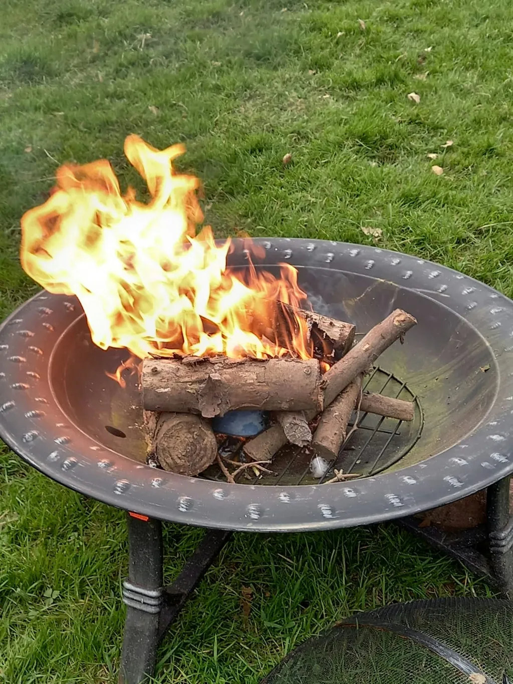 Camping auf Hof Kunterbunt