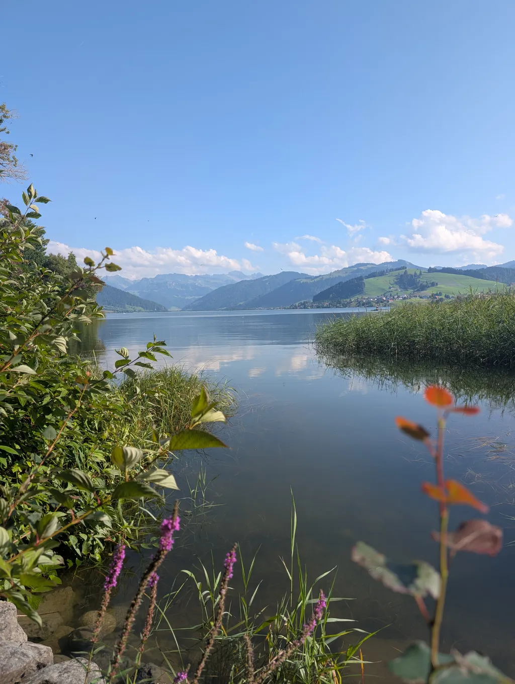 Bild von Tanja für den Spot 451