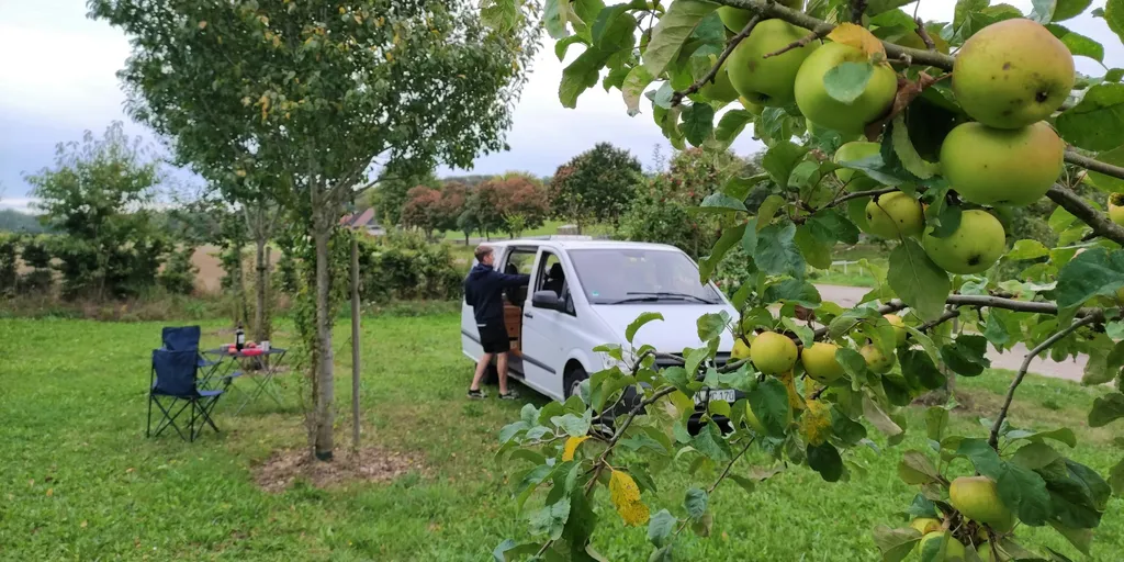 Schöne Streuobstwiese am Ortsrand