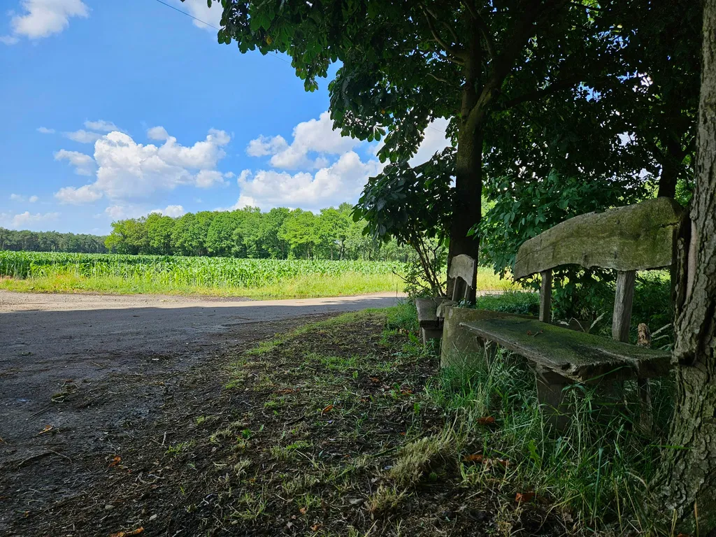 Hof am Biotop - umgeben von Natur!