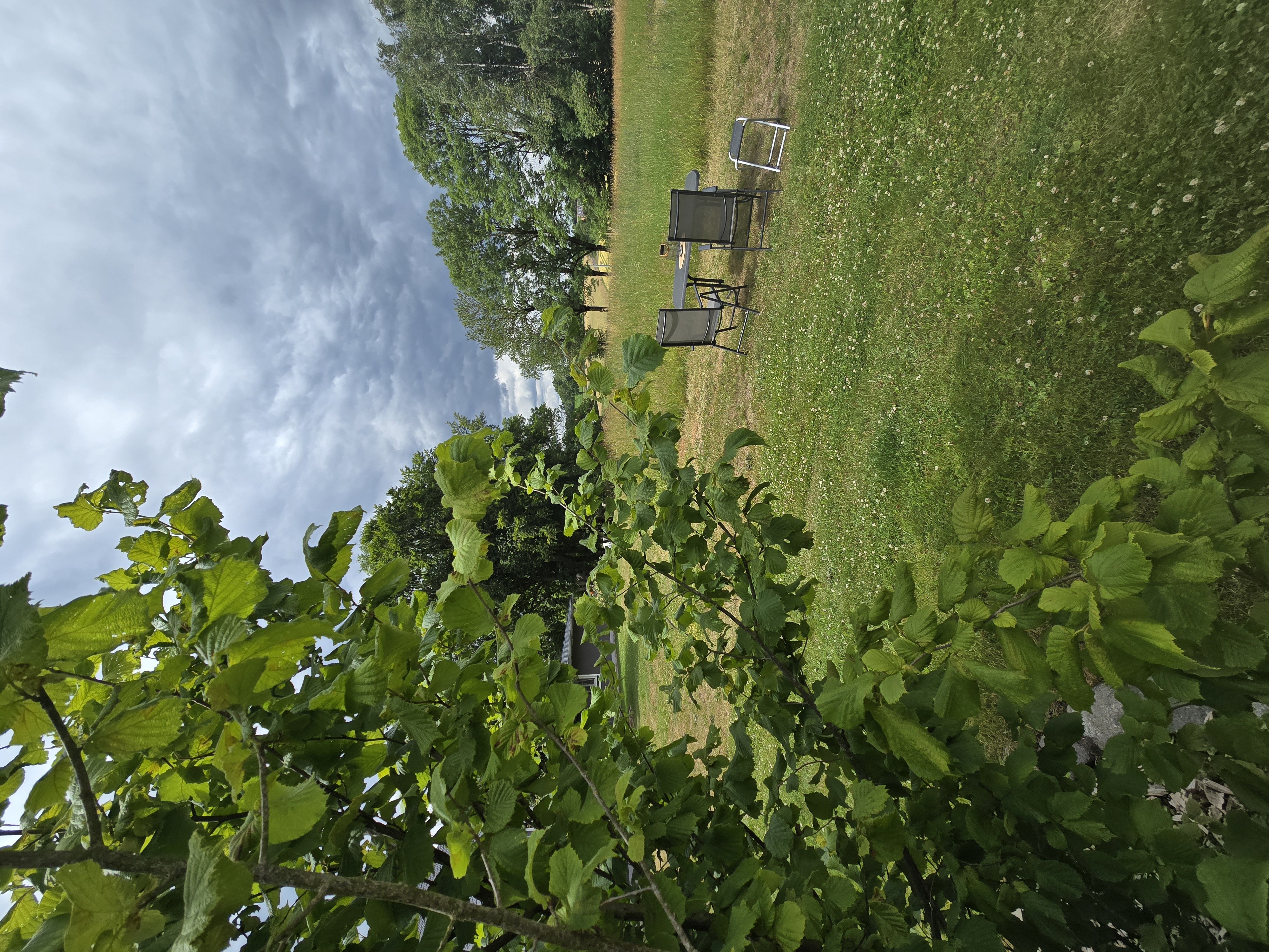 Luxus-Caravan zum Campingluft-Schnuppern