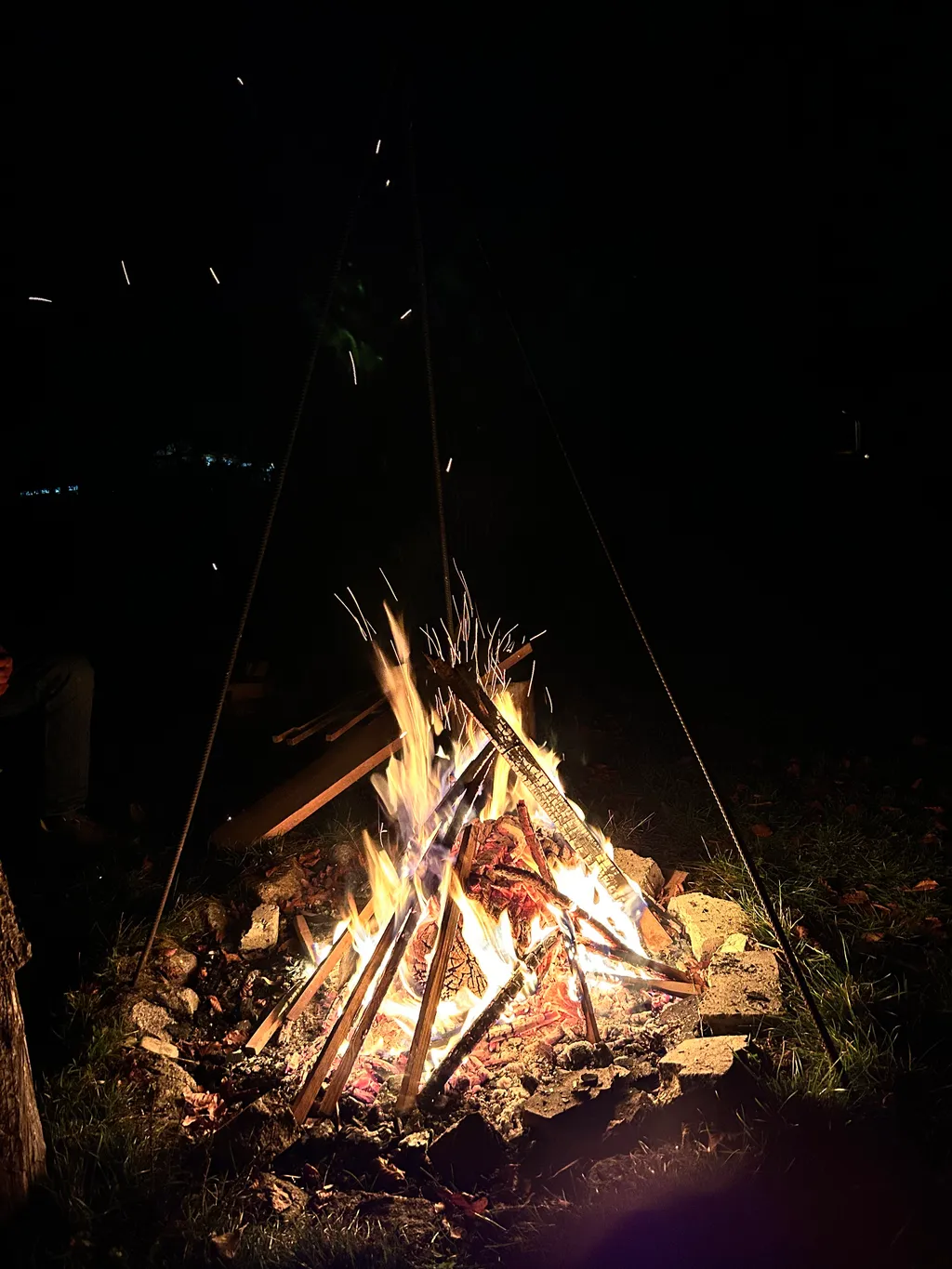 Image by Maximilian for spot 1479