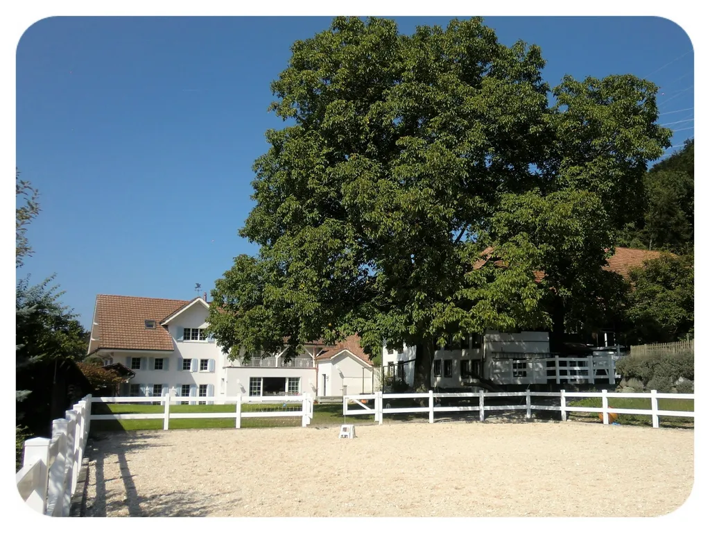 Landhaus Peters - Zeltcamp