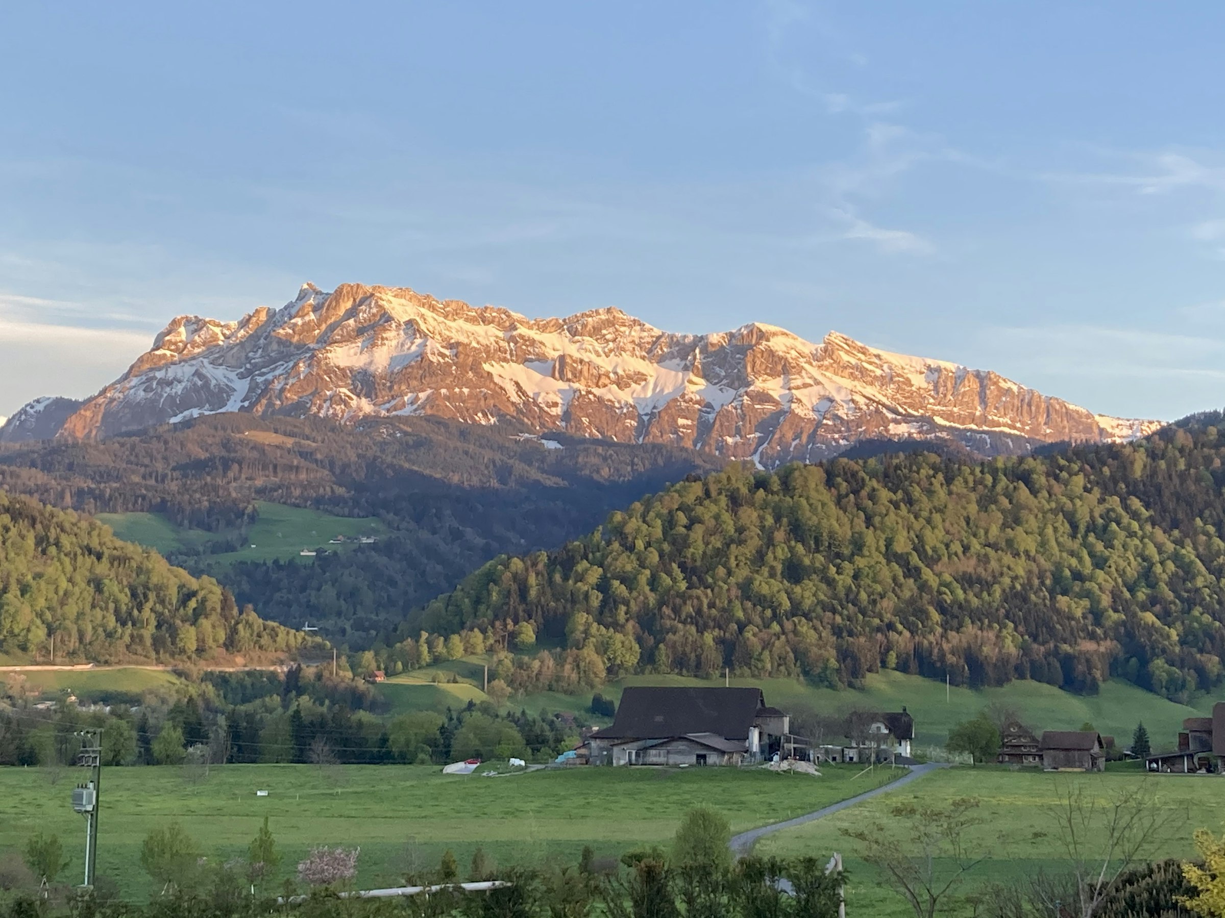Rütihof - Camp am Waldrand