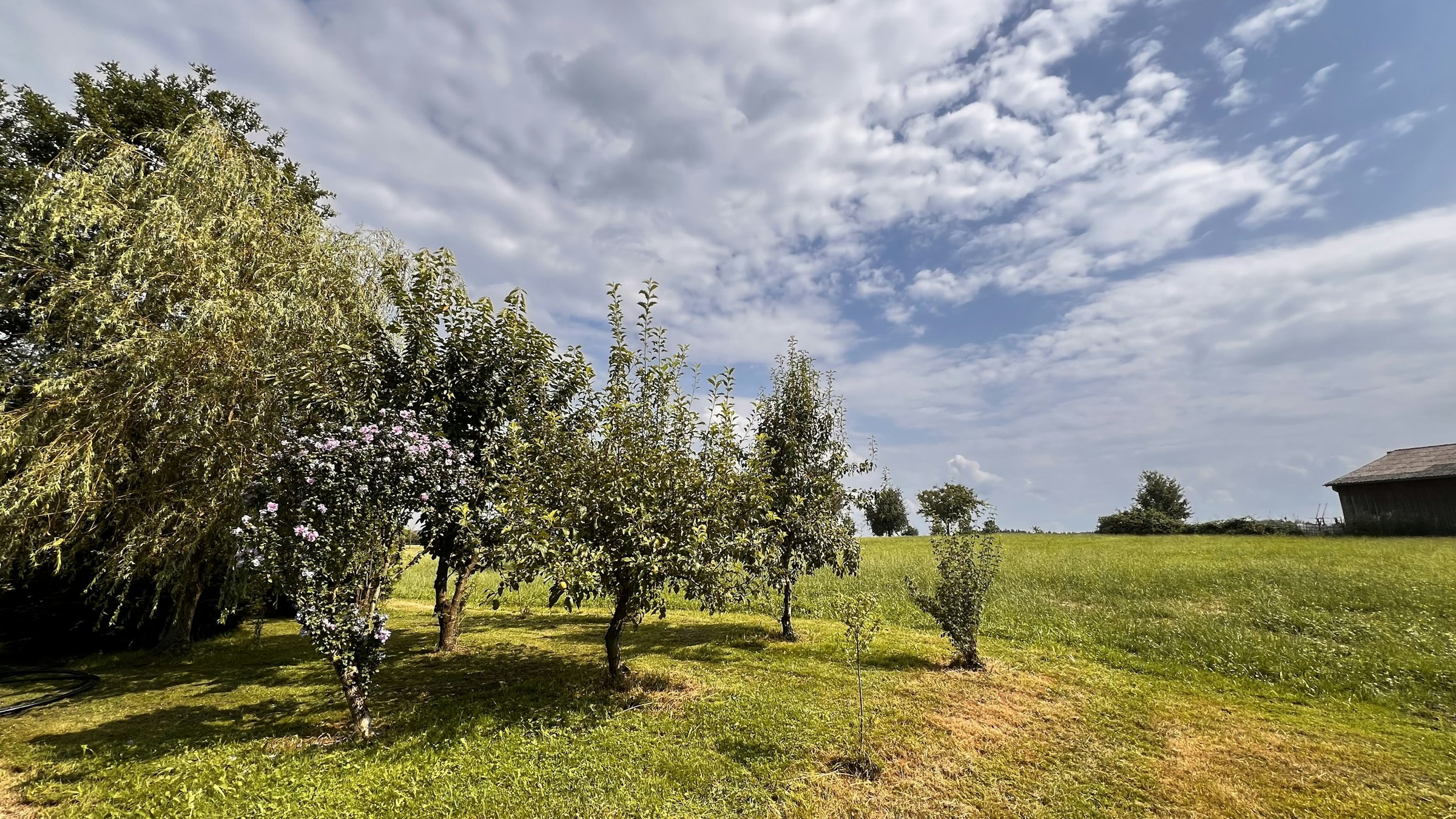🌿 Green Wolf - Kemmental Camping