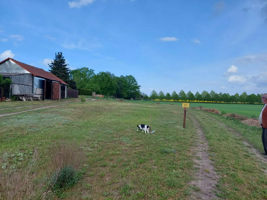 Natur Pur in Mecklenburg-Vorpommern