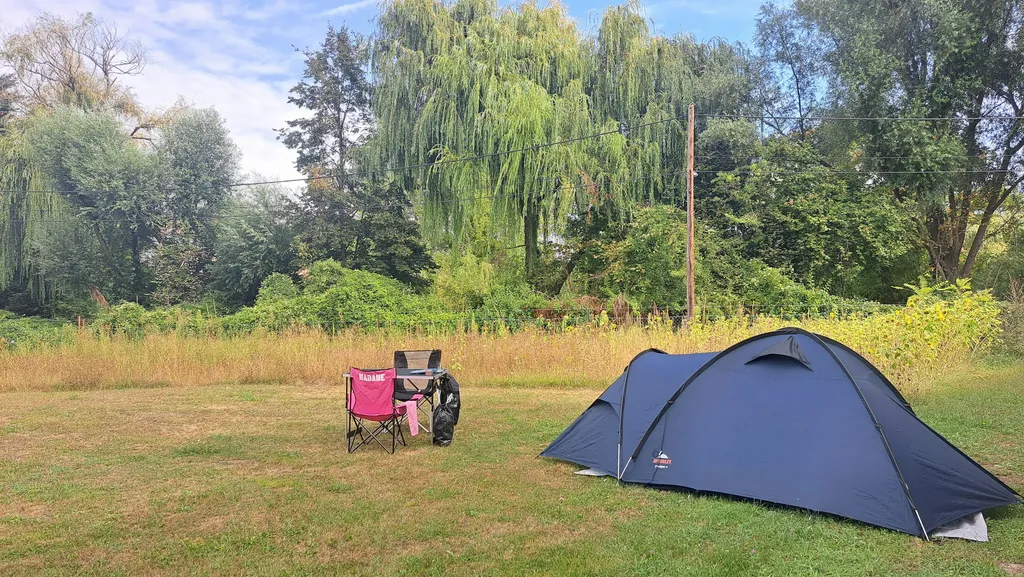 Natur pur in Wien, bei der Lobau