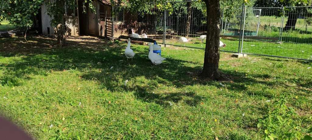 Abgelegener Bauernhof im Grünen