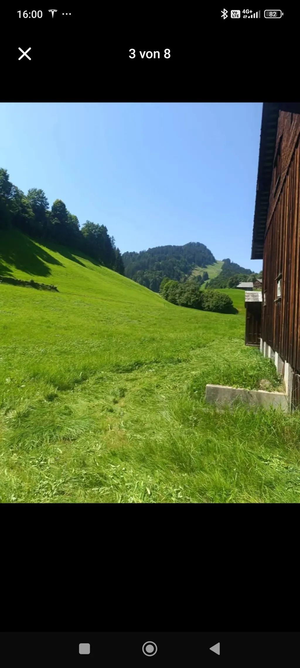 Schopf an ruhiger Lage