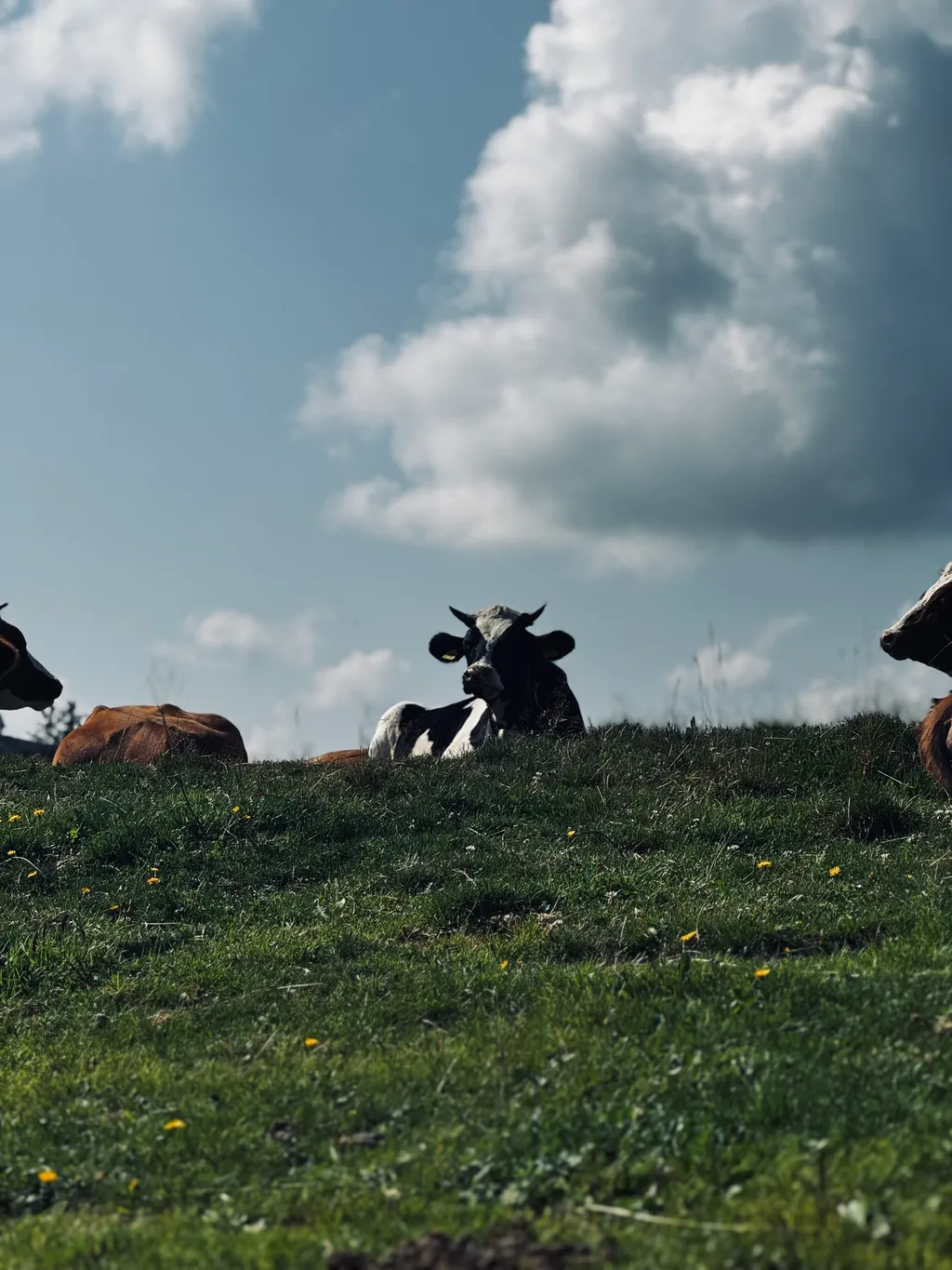 Bild von Annina für den Spot 73