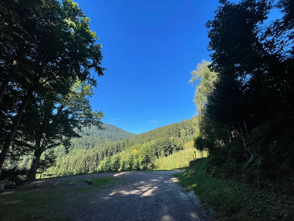 Bild von Sascha für den Spot 1557