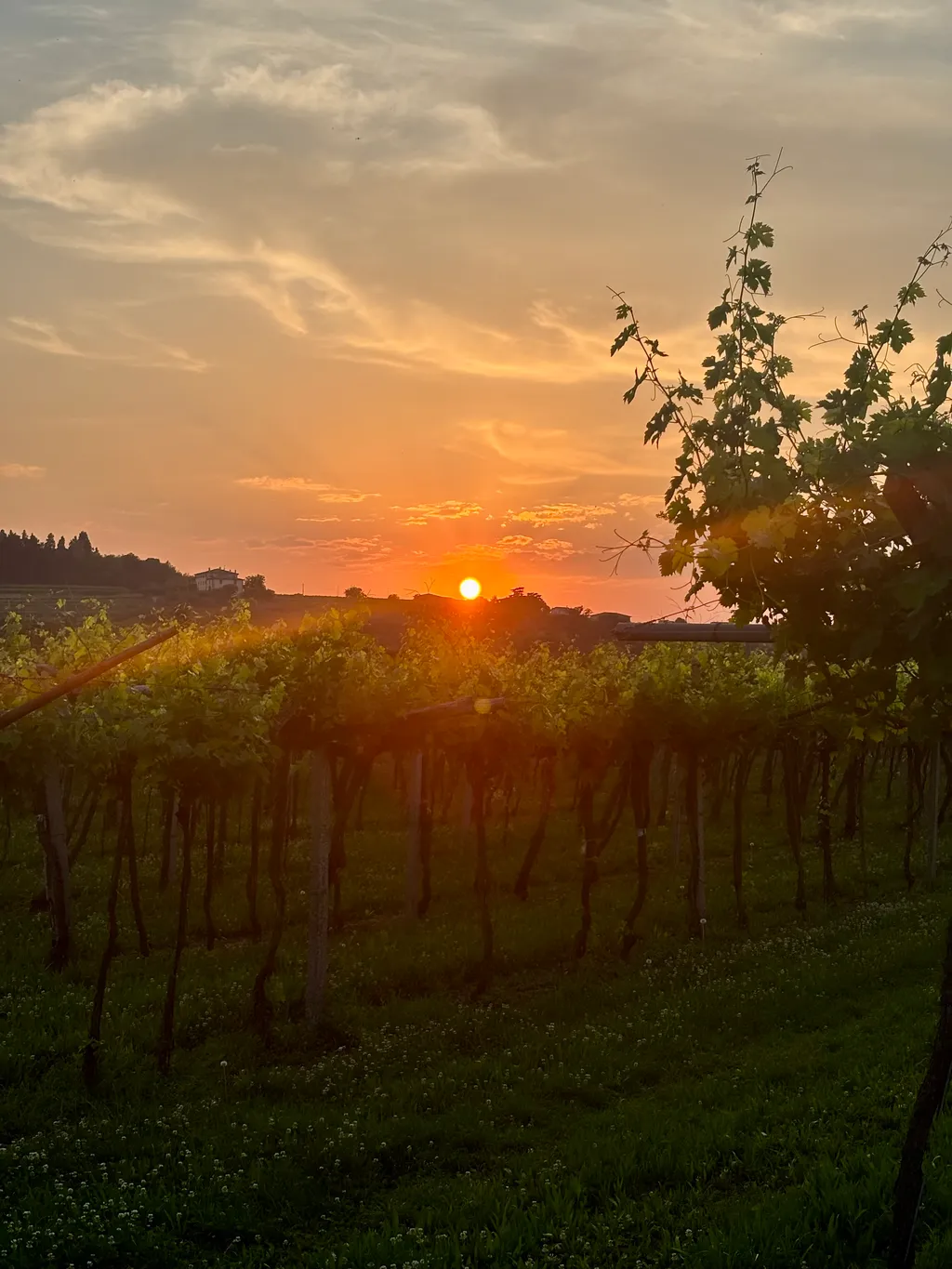Bild von Ines für den Spot 1107