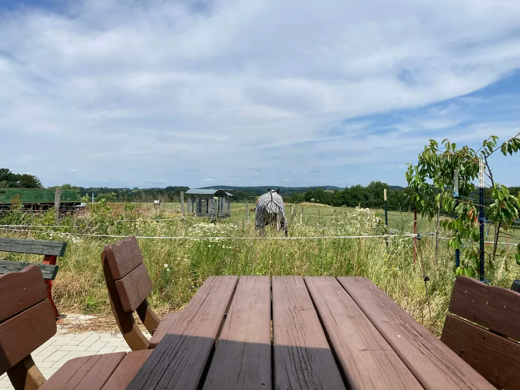 Offenstall Schwellenbach