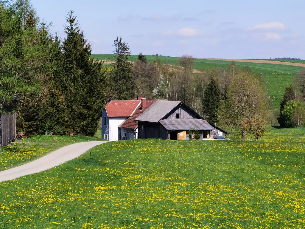 Sonnige Wiese mit viel Raum für Camper, die Natur und Weite suchen.