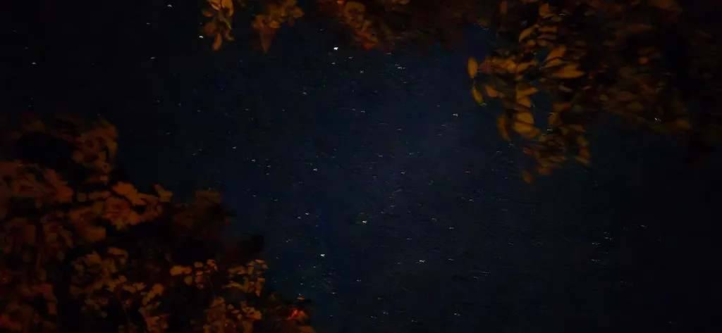 Image de Furkan pour le spot 1624
