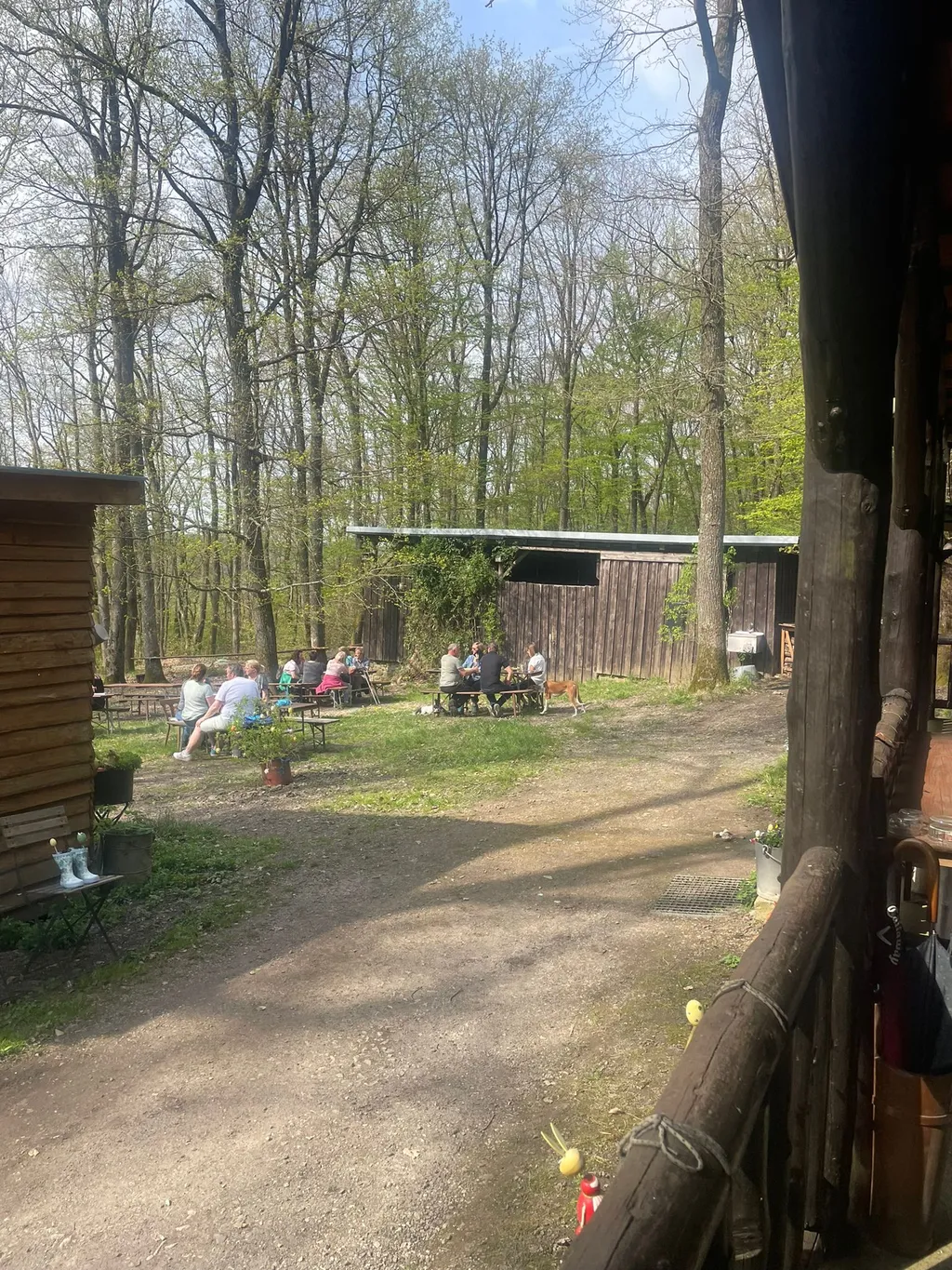 Privater Waldstellplatz in der Biosphäre Bliesgau