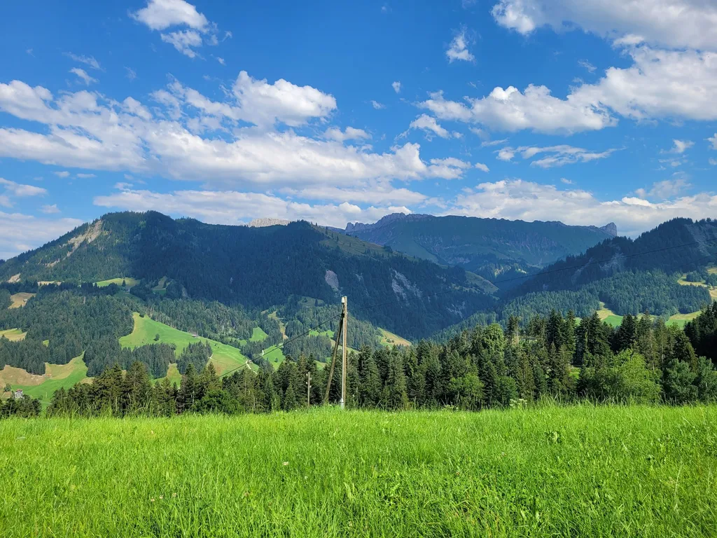 Hof-Camp Buchschachen