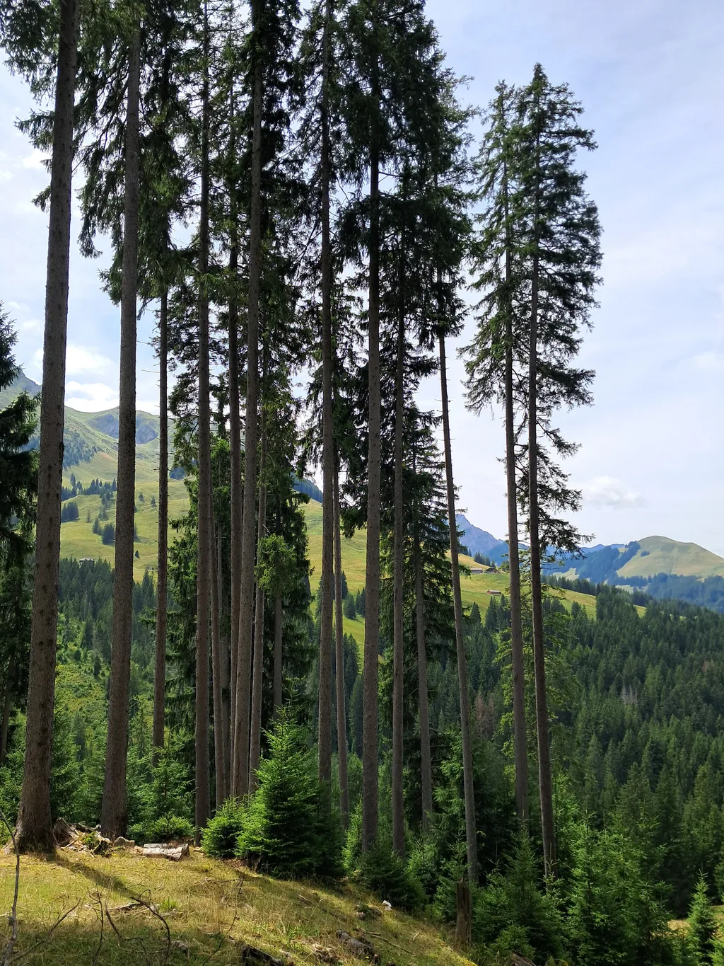 Bild von Tamara für den Spot 1104