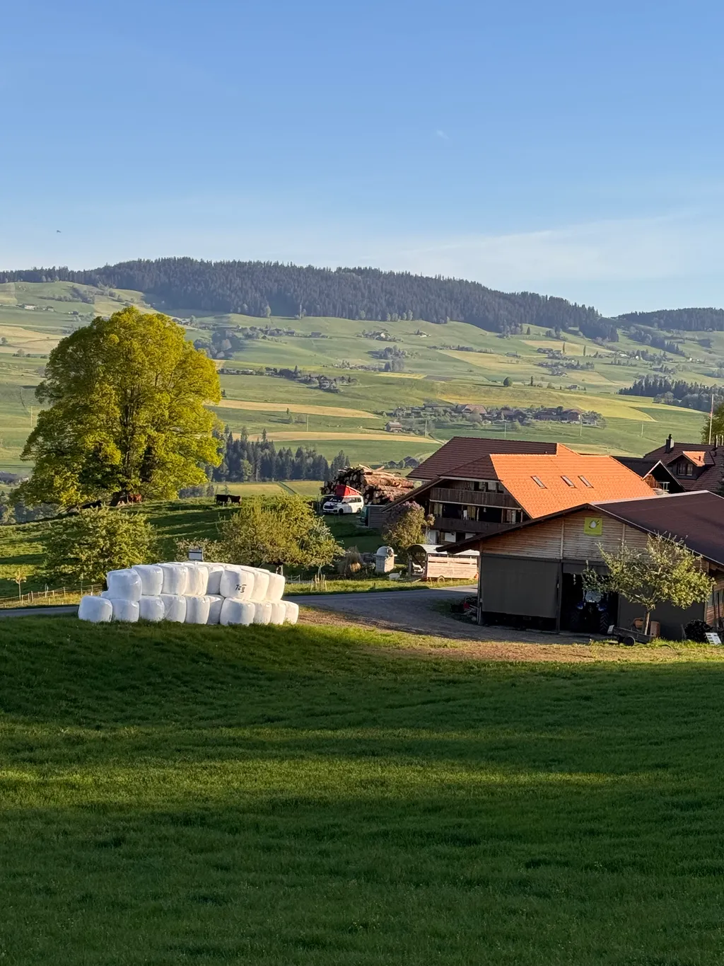 Bild von David für den Spot 3985