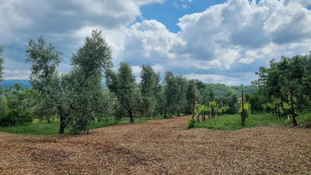 Farm stay Butul Domačija Butul