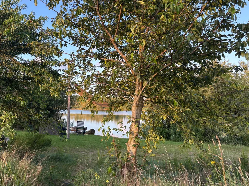 Bild von Anja für den Spot 3929