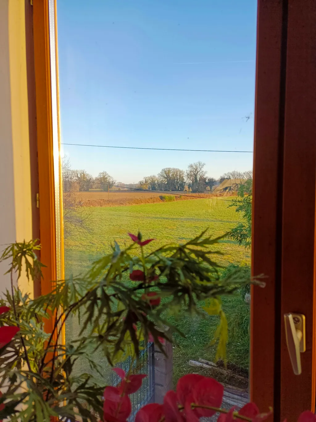 Kleines Chalet im Grünen