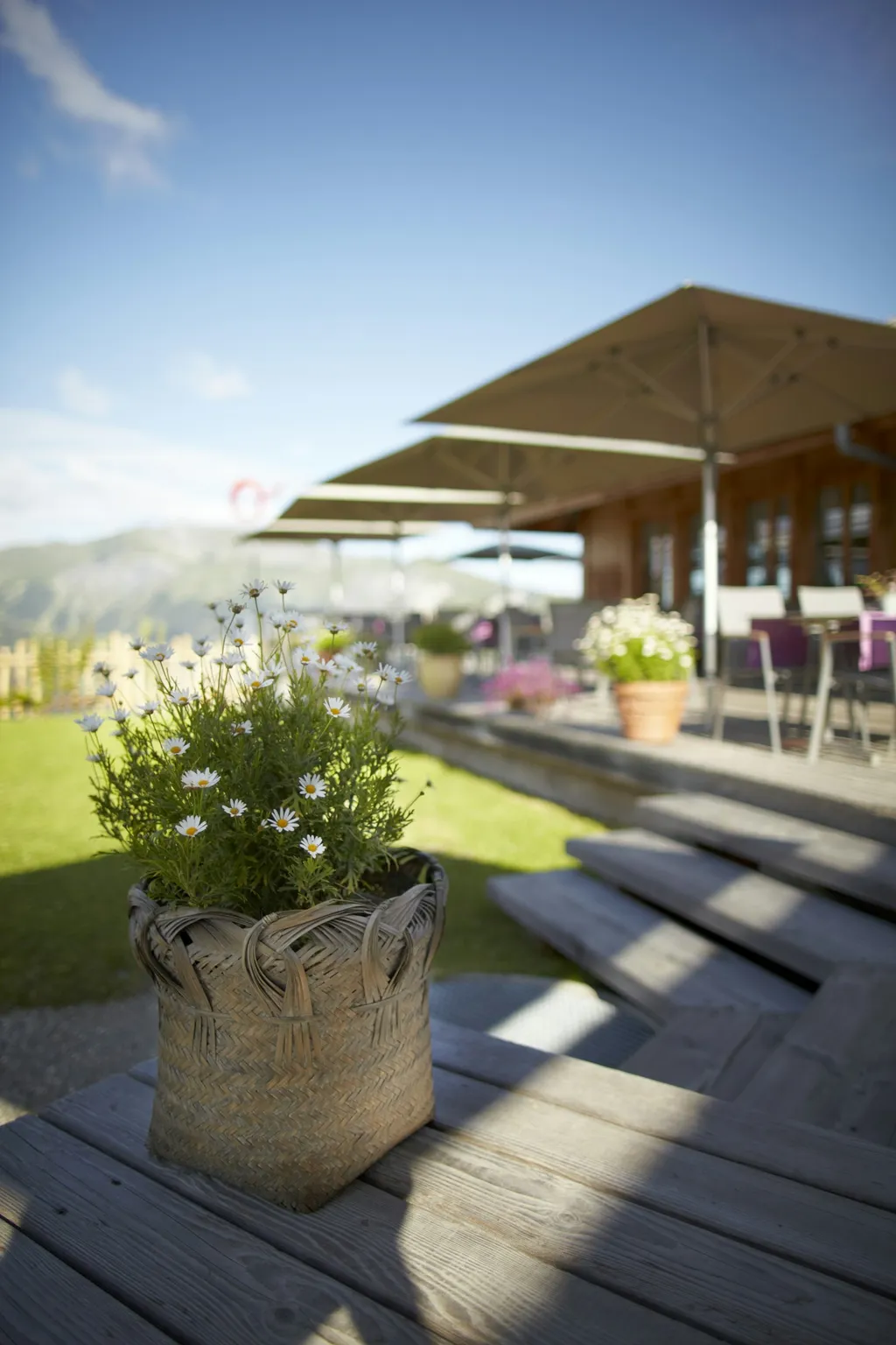 Bühlberg, schönste Aussichten