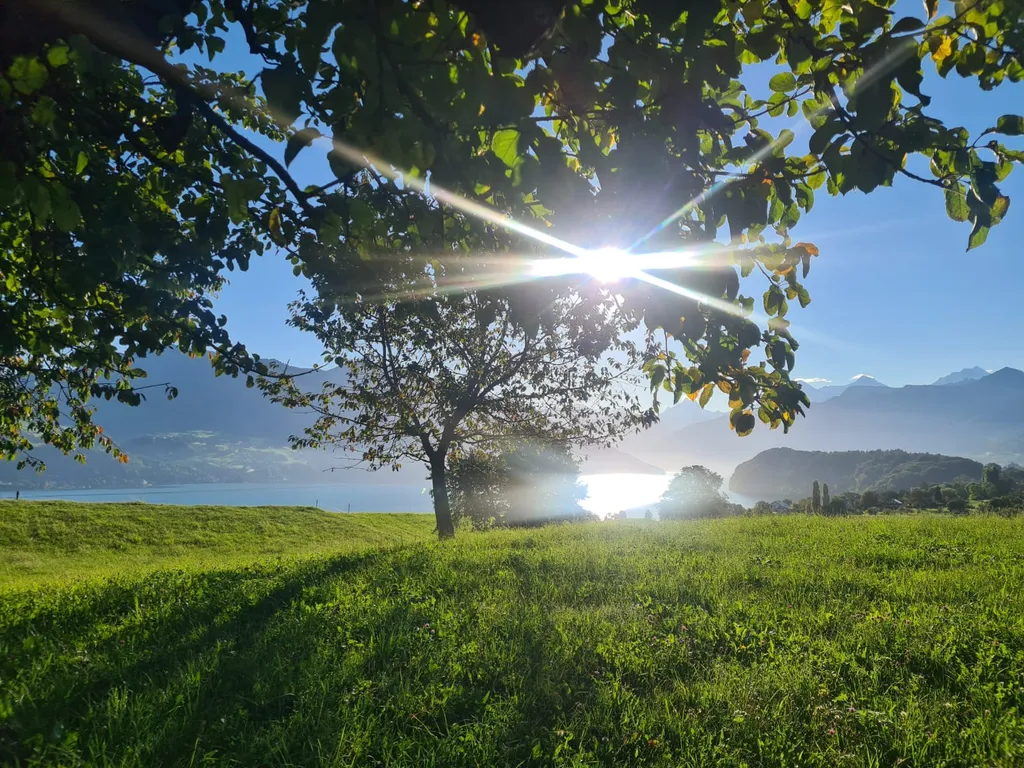 Bild von Marvin für den Spot 897