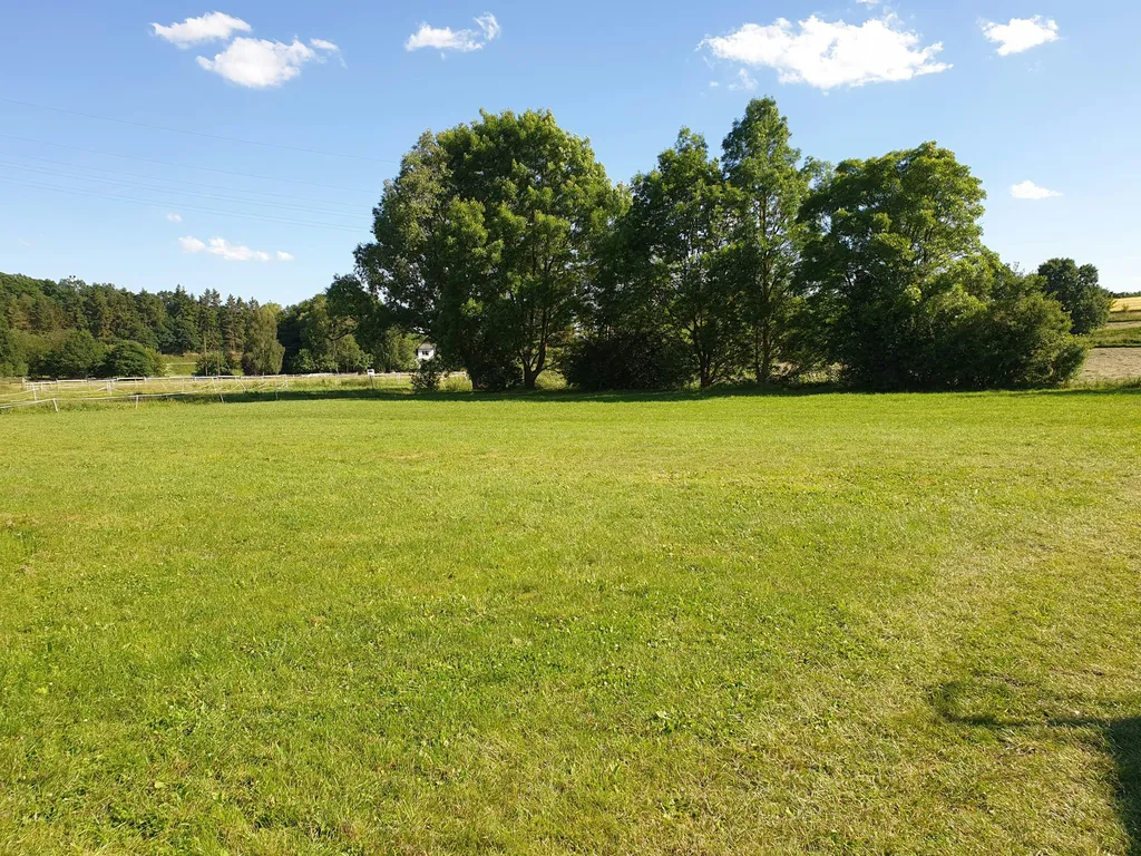 Schöne Wiese an zwei kleinen Bächen