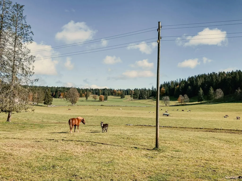 La Prise-Fège - "Champêtre"