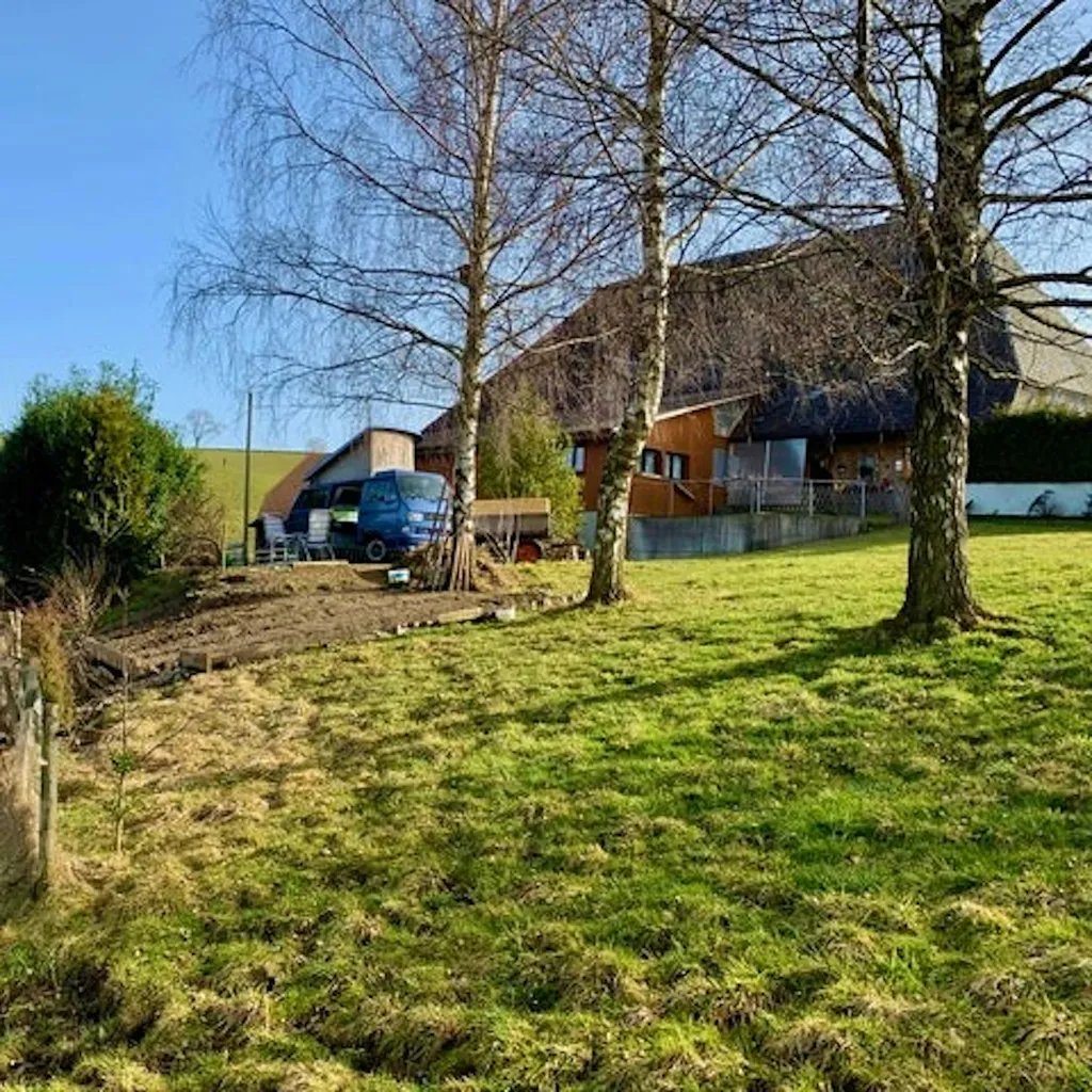 Tröimli Rüegsbach - Rotmilan