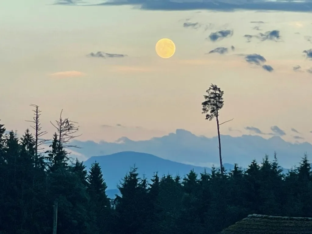 Naturstellplatz Leonhardts