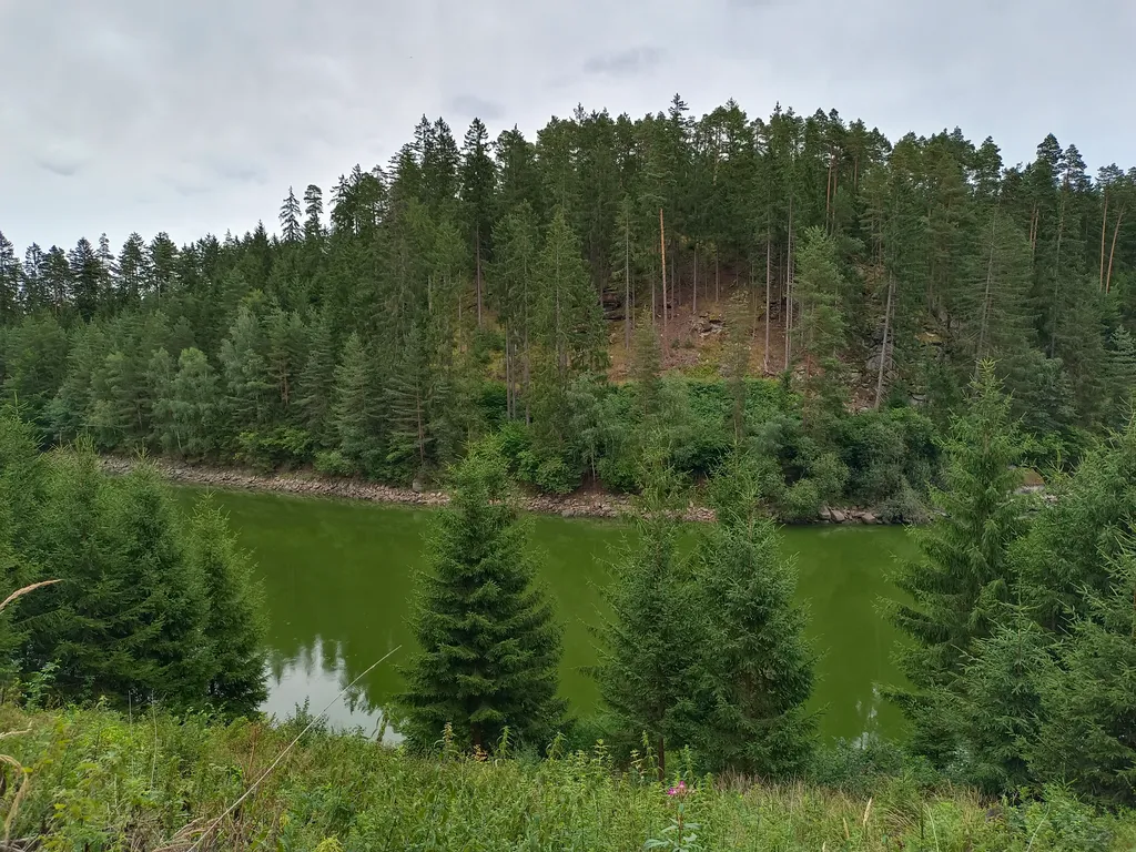 Ausblick von Wanderweg