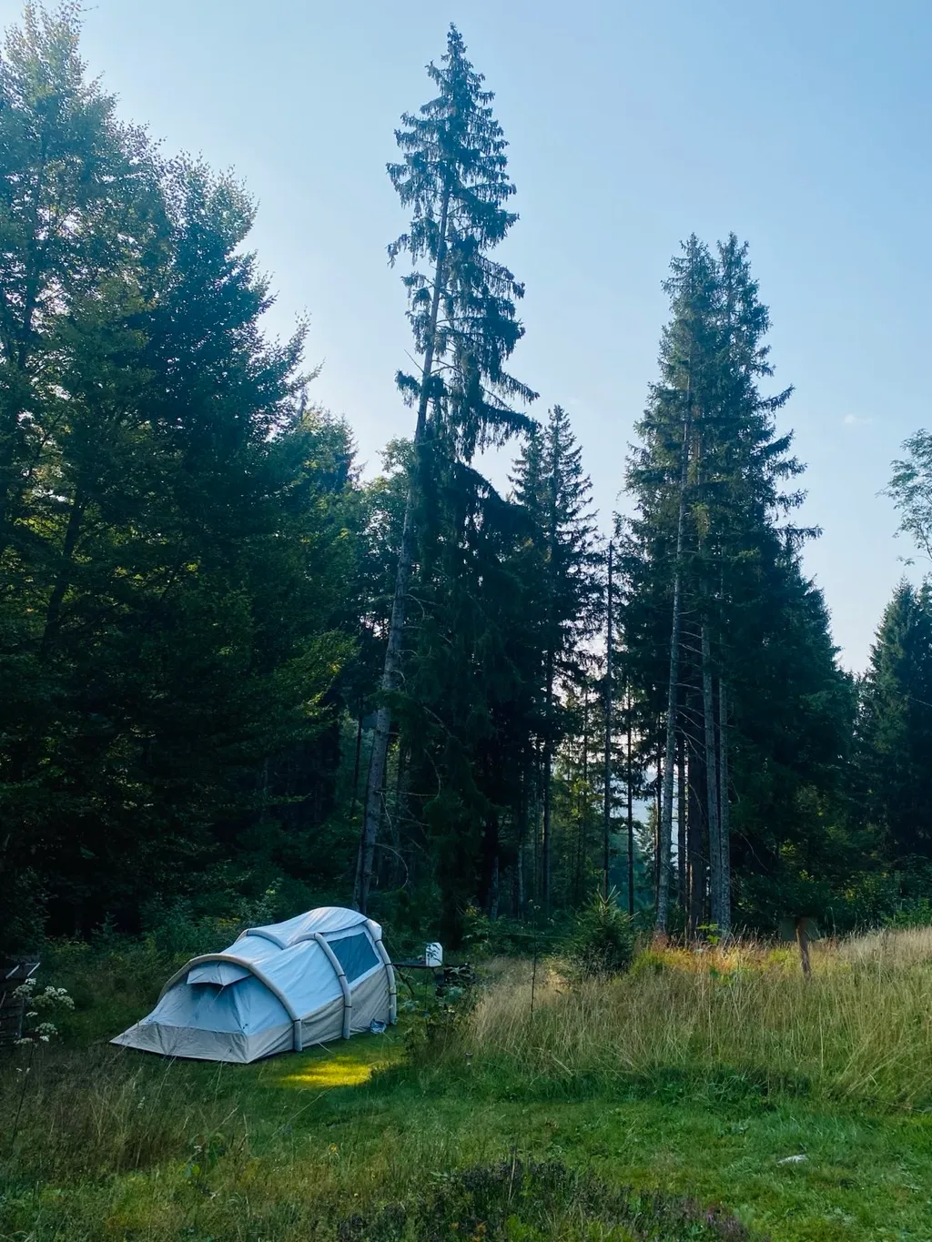 Bild von Vicky für den Spot 3998