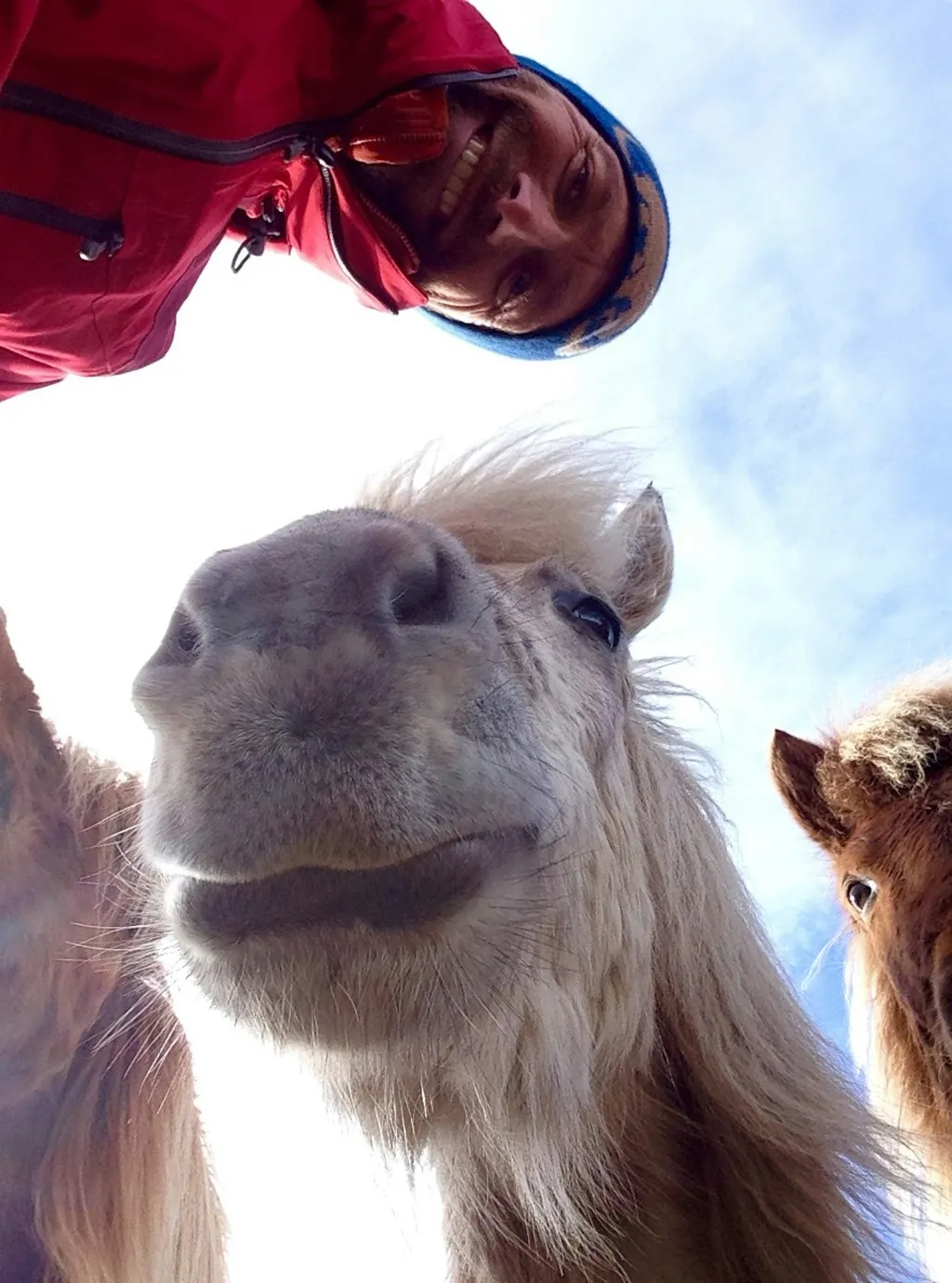 Profilbild von olivier