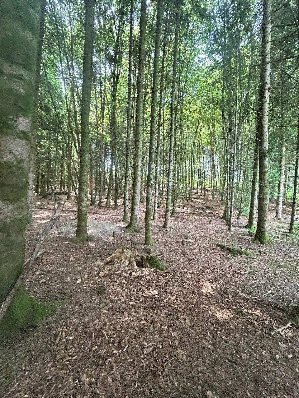 Bild von Olga für den Spot 1547