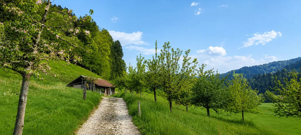 Feldweg zu deinem Camp👣