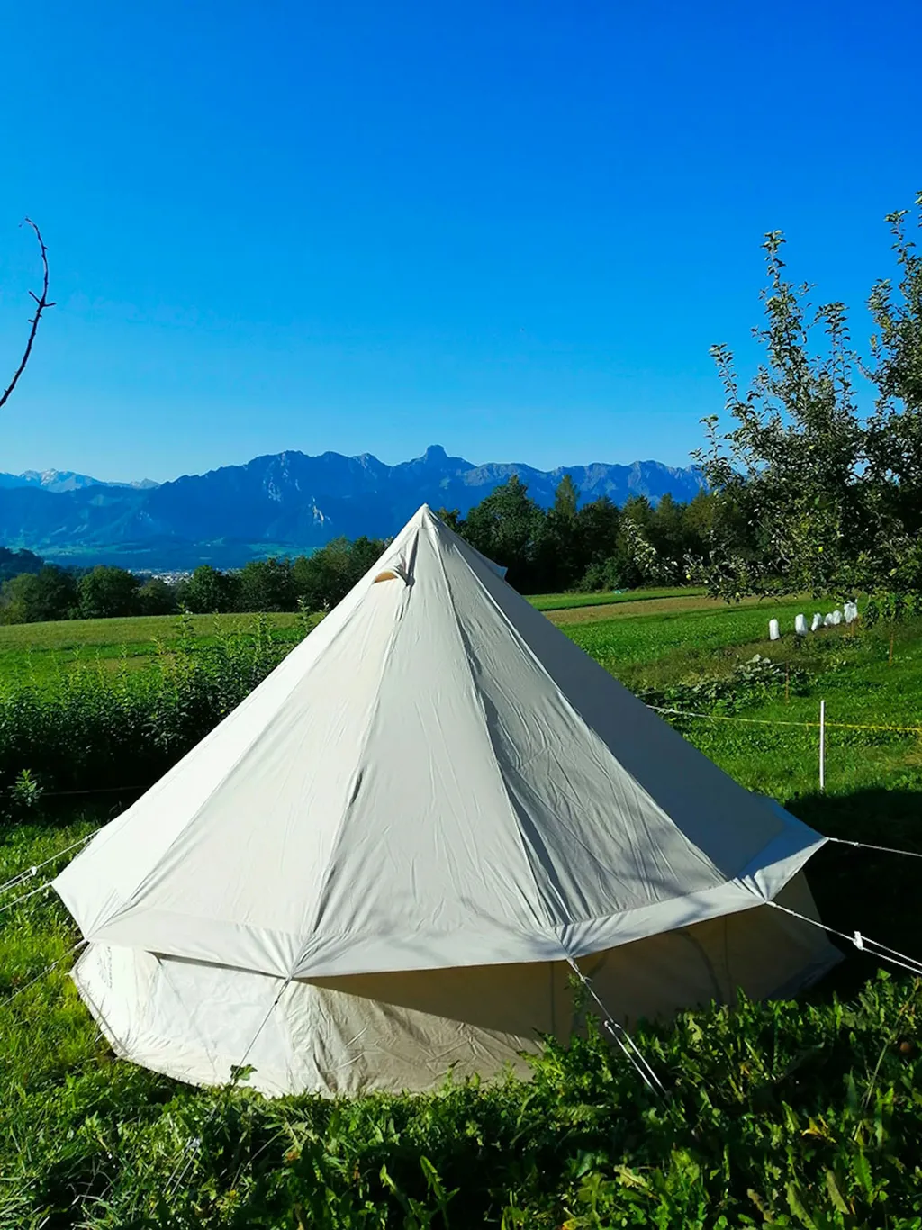 Tipi im Obstgarten