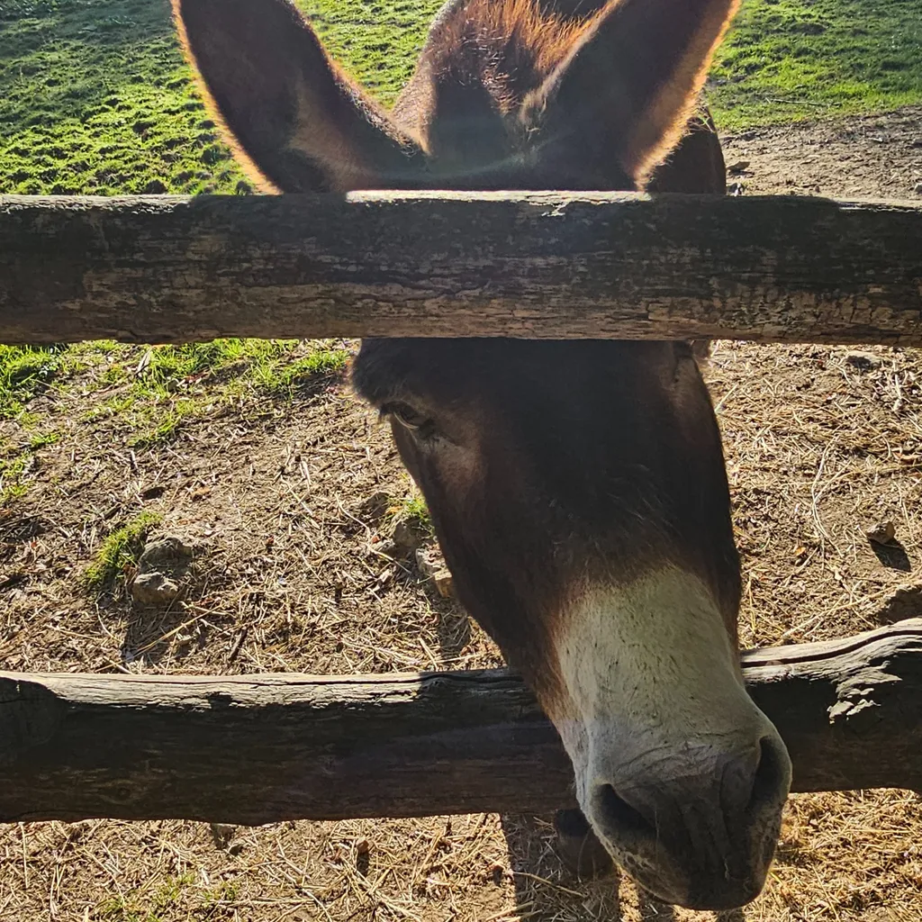 Profilbild von Martin