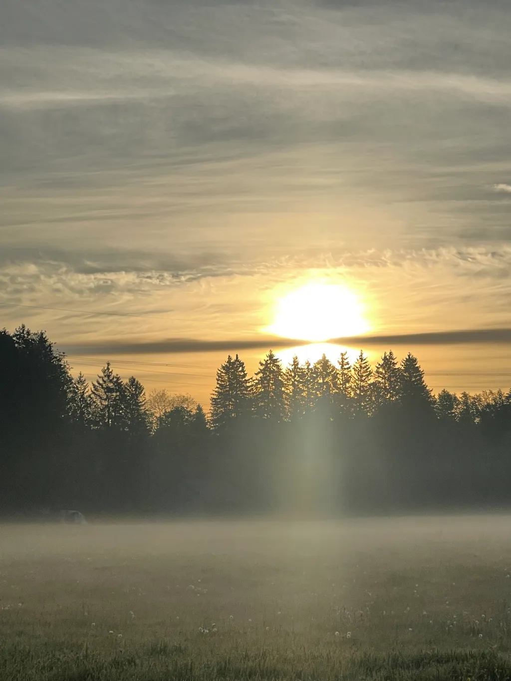 Bild von Reto für den Spot 4262