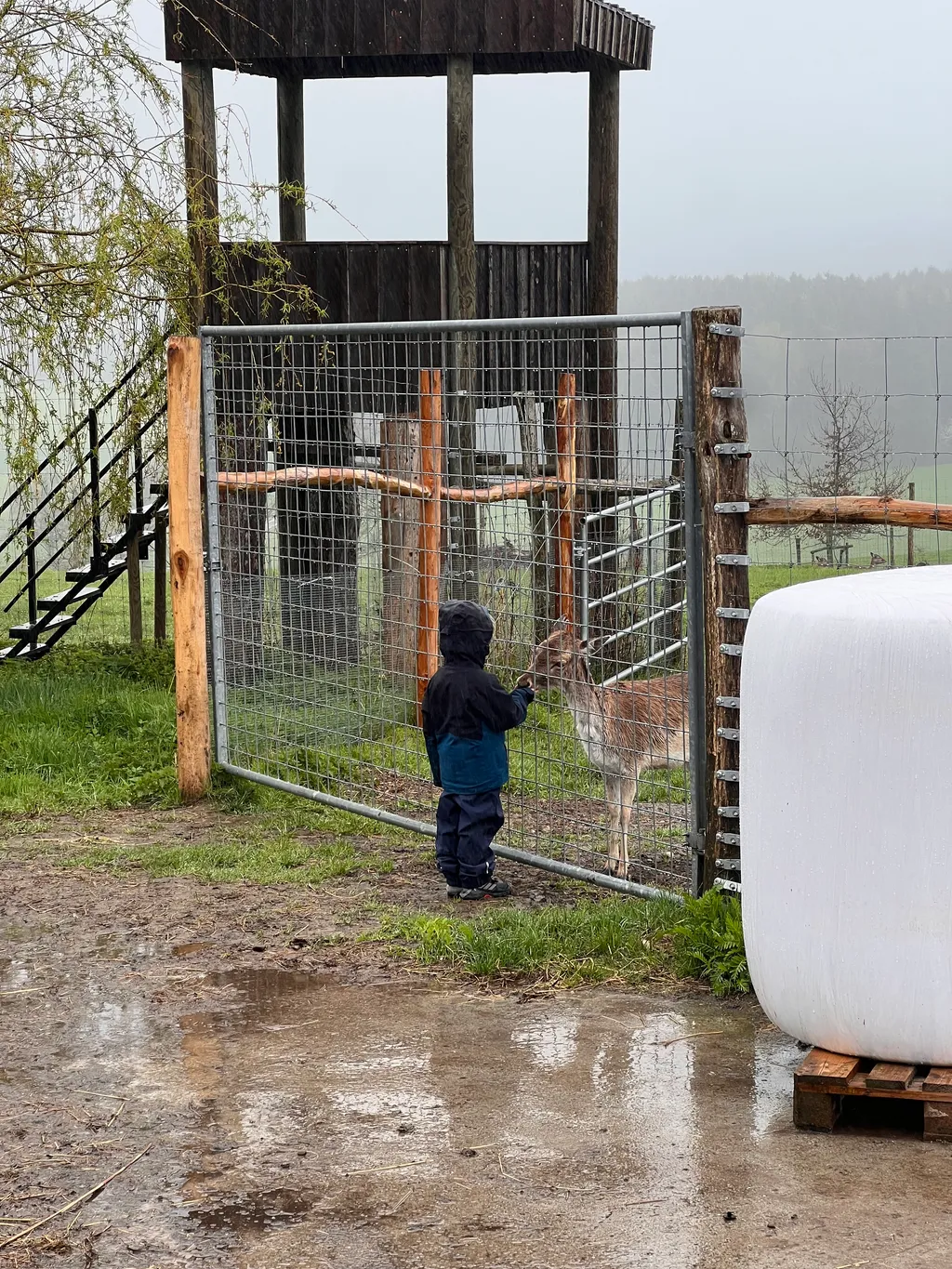 Bild von Guy für den Spot 269