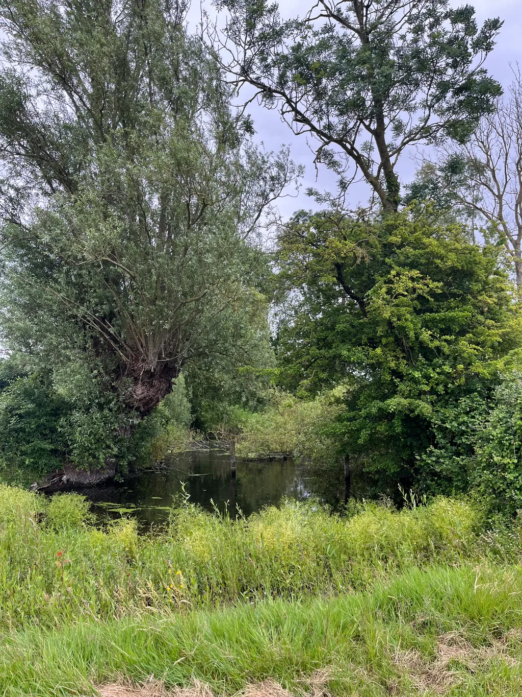 Flandres nature - Steenvoorde