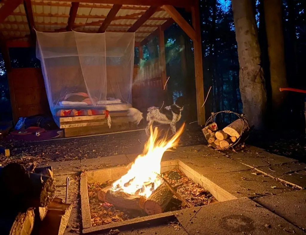 Mondholz-Shelter am Buchenwald